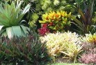 Gainsboroughplants-10.jpg; ?>