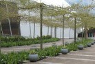 Gainsboroughplants-1.jpg; ?>