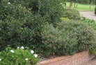 Gainsboroughplants-46.jpg; ?>